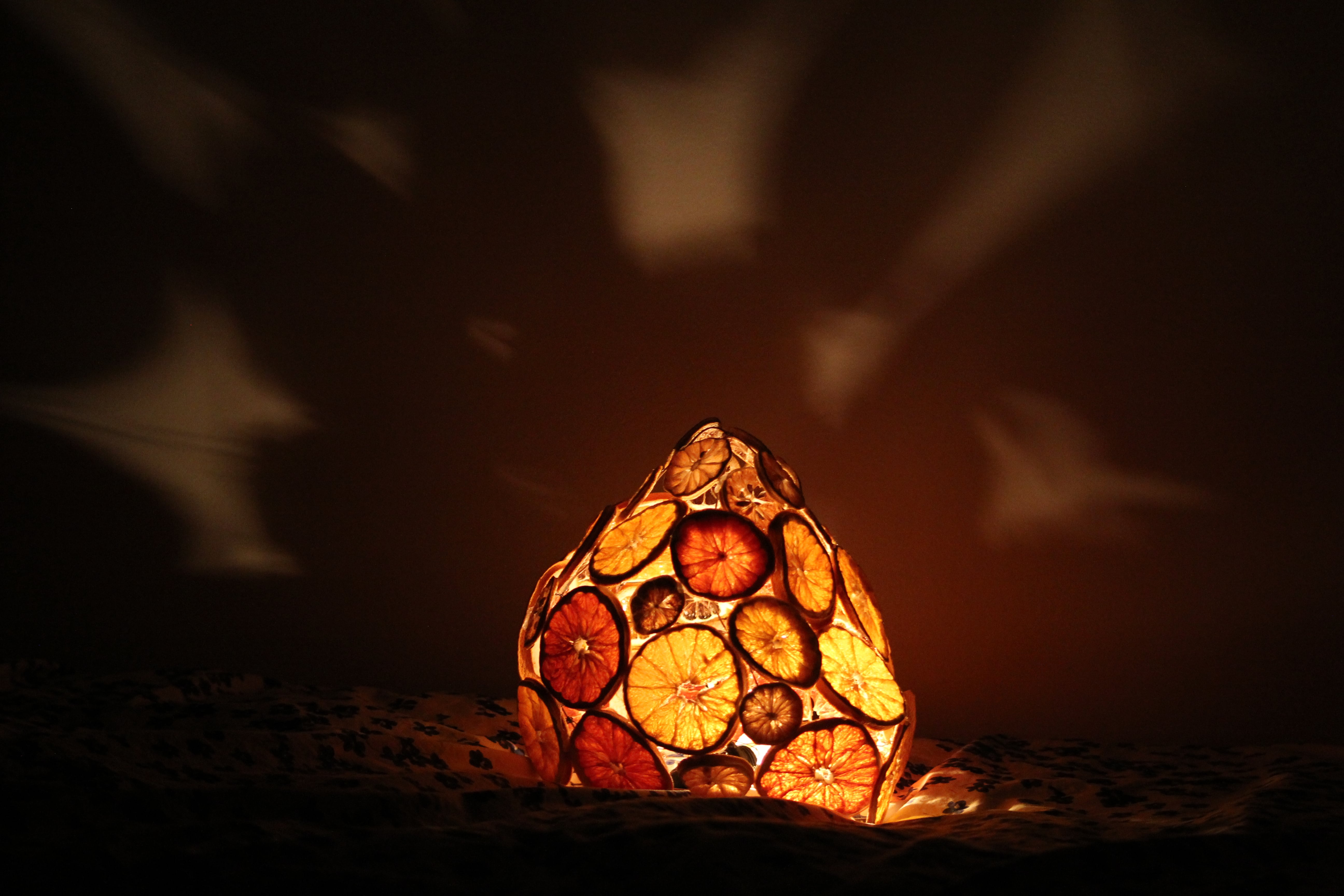 an organic lamp made from dried orange slices